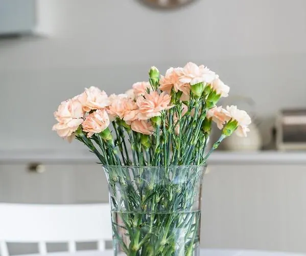 Apartamento Nadmorski Dwór Seaside Stories *